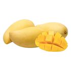 Gold Mangga Susu Gold Mango (±350g) | 10011839-KG