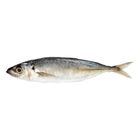 Mydin Fresh Ikan Sardin Fish (±500g) | 10008730-KG