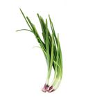 Mydin Spring Onion (±100g) | 10006447-KG