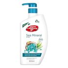 Lifebuoy Sea Mineral & Salt Antibacterial Bodywash Bottle 900ml - 94693