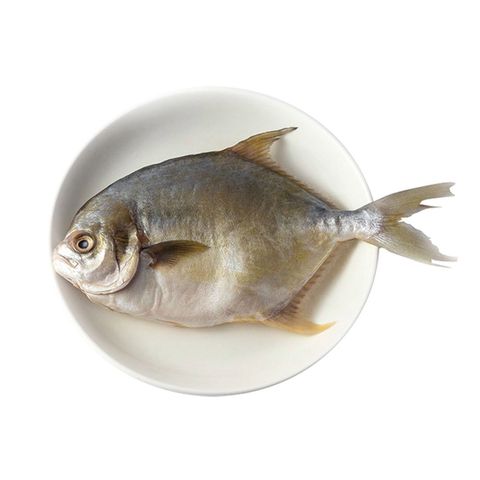 brightfarms Frozen Cleaned and Gutted Bawal Emas 400g