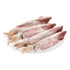 [Harga per KG] Sotong Putih M 1kg (9067)