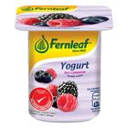 Fernleaf Low Fat Yogurt Mixed Berries 110g