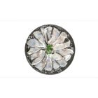 Nikudo Frozen Snakehead Fish Slice 250g
