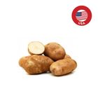 brightfarms Russet Potato 800g