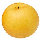 Singo Pear (1 Piece) | 10045596-EA