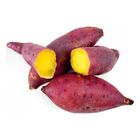 Segar2go Local Sweet Potato Orange S 1kg