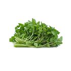 brightfarms Watercress 250g