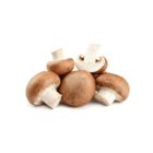 Champ Fungi Swiss Brown Mushroom | 150 g