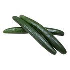 Mydin Japanese Kyuri/Cucumber (±500g) | 10006303-KG