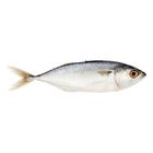 Mydin Fresh Ikan Kembong Fish (±500g) | 10006196-KG