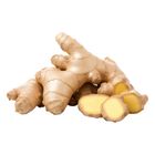 Mydin Halia Young Ginger (±400g) | 10006393-KG