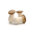 King Oyster Mushroom 200g