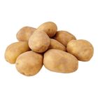 Holland Potato 800g
