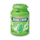 Wrigley's Doublemint Chewing Gum Peppermint Bottle 58g