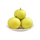 China Sweet Honey Pear 500g