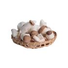 Korean Baby Eryngii Mushroom 300g