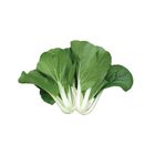 brightfarms Tai Pak Choy 300g
