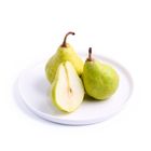 Fragrant Pear 6pcs