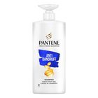 Pantene Shampoo Anti Dandruff 480ml
