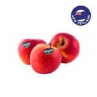 NZ Dazzle Apple 6 Pieces