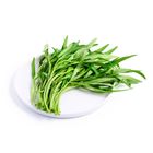 brightfarms Kangkong 200g