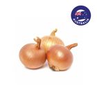 Australia Gold Cream Onion 500g