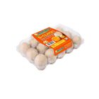 Nutriplus S-Clean Kampung Egg 15pcs