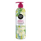 Good Virtues Co. Healthy Hair & Scalp Shampoo 300ml - 98126