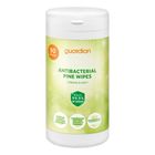 Guardian Antibacterial Wipes Pine 90 Pieces - 121111914