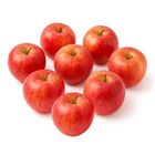 Royal Gala Apple (8 Pieces) | 10025346-EA