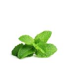 brightfarms Mint Leaf 50g