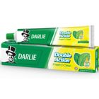 Darlie Double Action Toothpaste 250g