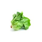 Butterhead Lettuce 230g