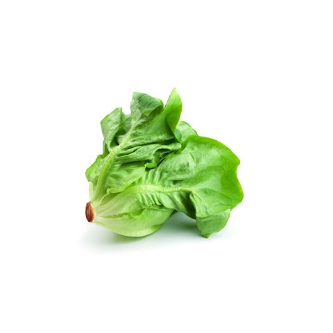 Butterhead Lettuce 230g