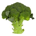 Brokoli Cina/China Broccoli 1 Unit - 2046