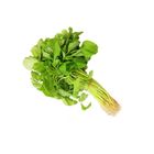 brightfarms Green Spinach (Bayam Hijau) 200g