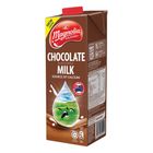 Magnolia UHT Chocolate Milk 1L