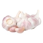Mydin Bawang Putih / Garlic White (±500g) | 10006589-KG