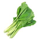 Sawi Cameron Pack 1kg