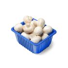 Champ Fungi White Button Mushroom 150g