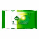 Dettol Antiseptic Germicide (1 Bottle) 500ml