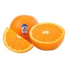 Sunkist Navel Orange 6pcs