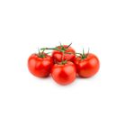 brightfarms Premium Tomato on Vine 550g