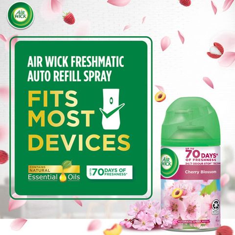 Airwick Freshmatic Cherry Blossom Starter