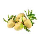 brightfarms Chiku 800g