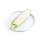 Cameron Pearl White Corn 1pc