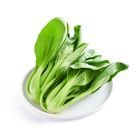 brightfarms Sio Pak Choy 250g