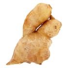 Mydin Old Ginger (±300g) | 10006335-KG