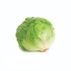 Iceberg Lettuce 1pc
